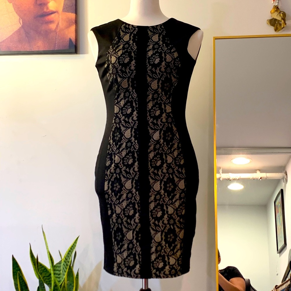Lace Alexa B Dress